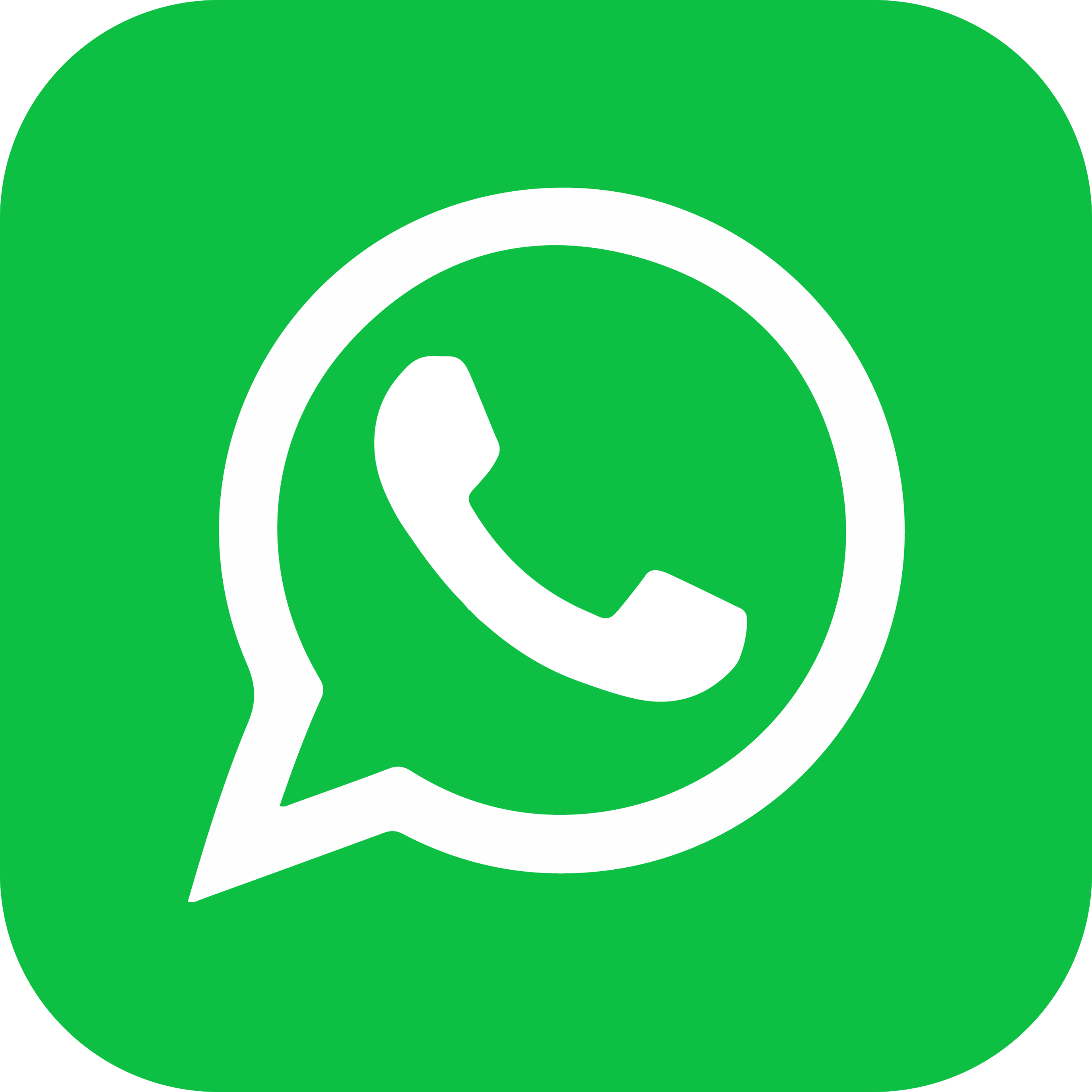 Tel/Whatsapp